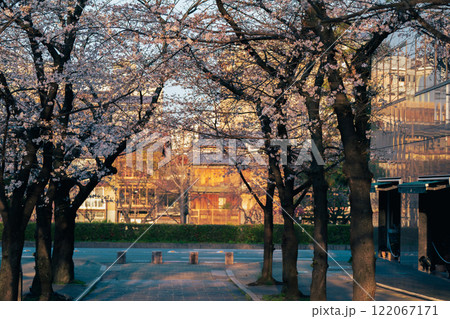 古都の春の京都市東山祇園白川の桜を撮影 古都の春の京都市東山祇園白川の桜を撮影 122067171