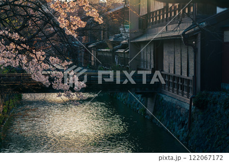 古都の春の京都市東山祇園白川の桜を撮影 古都の春の京都市東山祇園白川の桜を撮影 122067172