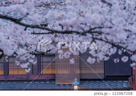 古都の春の京都市東山祇園白川の桜を撮影 122067208