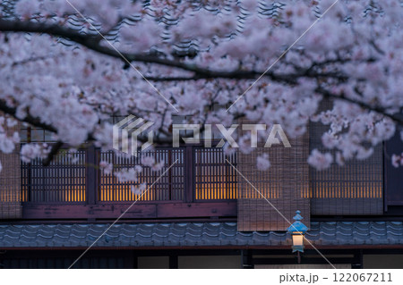 古都の春の京都市東山祇園白川の桜を撮影 122067211