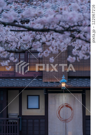 古都の春の京都市東山祇園白川の桜を撮影 122067216