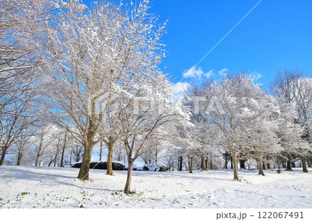 冬の上堰潟公園（新潟県） 122067491