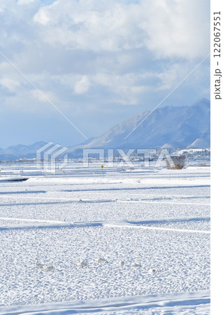 雪の弥彦山と角田山（新潟県） 122067551