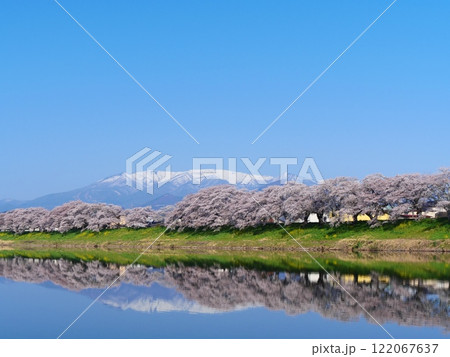 白石川堤一目千本桜（宮城県柴田郡大河原町） 122067637