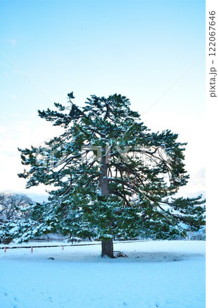 新発田城址公園（新潟県） 122067646