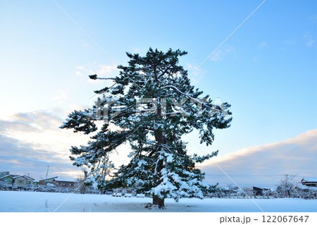 新発田城址公園（新潟県） 122067647