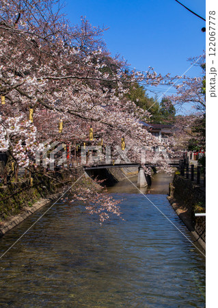 城崎温泉夜の桜～さくら橋近辺～(兵庫県-城崎温泉) 122067778