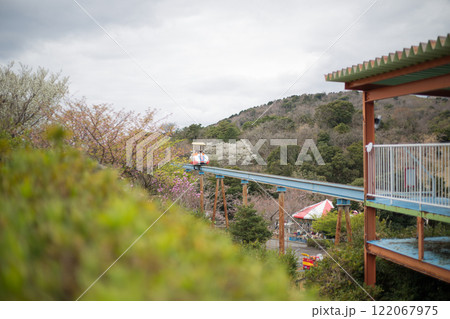 いず 伊豆　風景 122067975