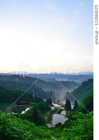 朝の山古志一本杉の棚田棚池（新潟県） 122068025