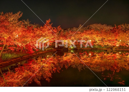 ライトアップに照らされて真っ赤に染まるモミジの紅葉情景 122068151