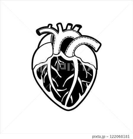 Human Hart Line Art Outline Stroke Vector Art Illustration Design Template Human Hart Line Art Outline Stroke Vector Art Illustration Design Template 122068181