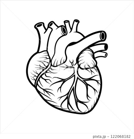 Human Hart Line Art Outline Stroke Vector Art Illustration Design Template 122068182