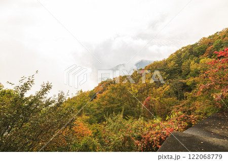 日光　紅葉　いろは坂 122068779