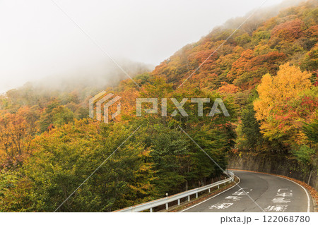 日光　紅葉　いろは坂 122068780