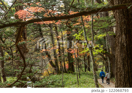 日光　紅葉　いろは坂 122068793
