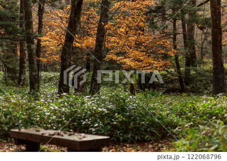 日光　紅葉　いろは坂 122068796