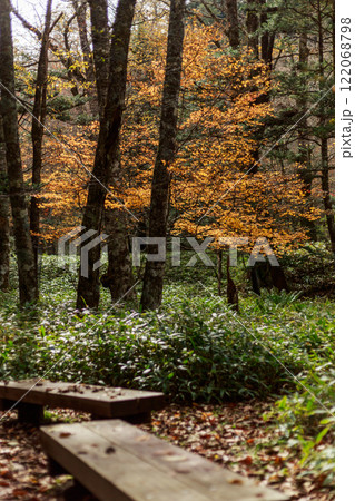 日光　紅葉　いろは坂 122068798