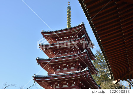 本土寺　五重塔と鐘楼(千葉県松戸市) 122068858