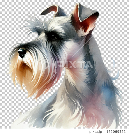 Profile of Miniature Schnauzer 122069521