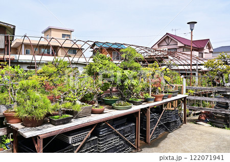 大宮盆栽村　盆菜園　さいたま市 122071941