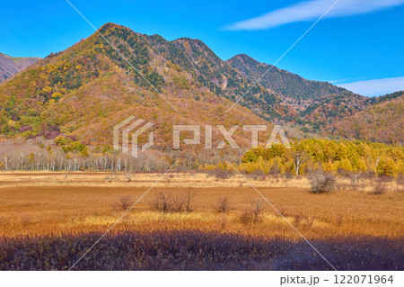 秋の奥日光 小田代ヶ原から草紅葉と北側の眺望(外山など) 122071964