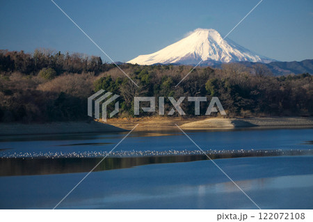 青空の冬の狭山湖堰堤から見る湖面と富士山 122072108