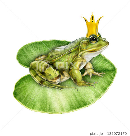 Cute fairy green frog with a golden crown on head hand painted illustration. Fairytale prince frog character sitting on water lily leaf isolated on white background 122072170