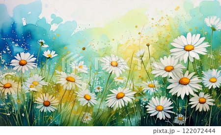 Daisies blooming in a sunny meadow 122072444