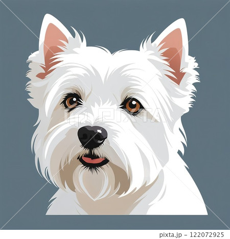 白い毛並みがかわいいホワイトテリアの顔 122072925