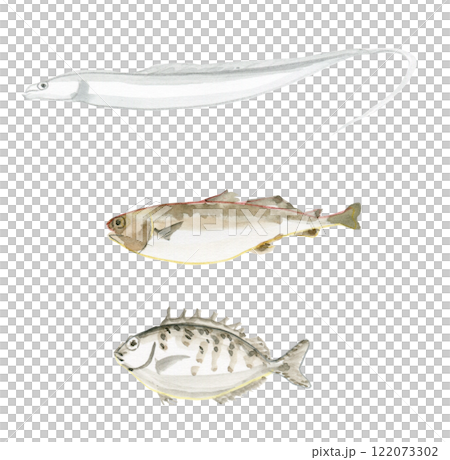 劍魚、鱈魚、兔魚 122073302