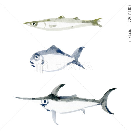 カマス　目鯛　メカジキ 122073303