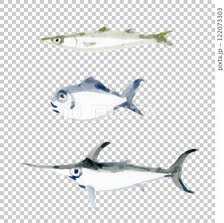 カマス　目鯛　メカジキ 122073303