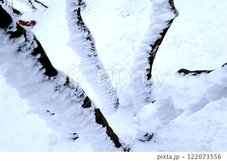 綿向山の霧氷の美しさと迫力 122073556