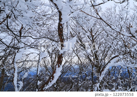 綿向山の霧氷の美しさと迫力 122073558