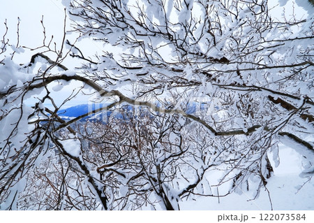 綿向山の霧氷の美しさと迫力 122073584