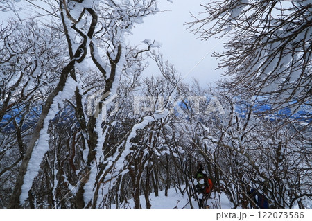 綿向山の霧氷の美しさと迫力 122073586