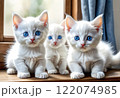 かわいい子猫 122074985