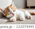 かわいい子猫 122074995