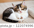 かわいい子猫 122074996