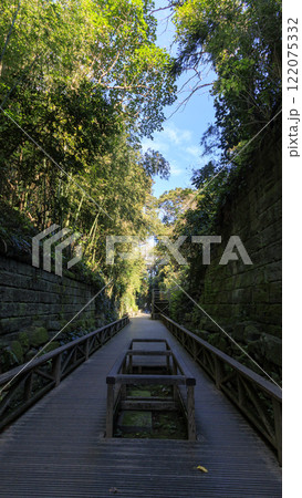東京湾の元要塞の猿島の冬 東京湾の元要塞の猿島の冬 122075332