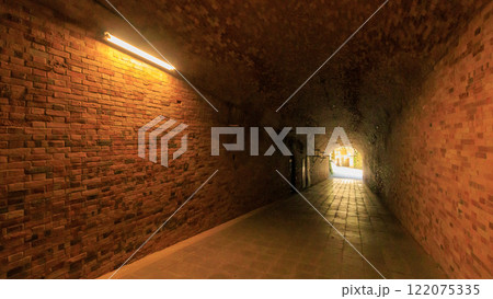 東京湾の元要塞の猿島の冬 東京湾の元要塞の猿島の冬 122075335