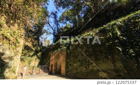東京湾の元要塞の猿島の冬 東京湾の元要塞の猿島の冬 122075337