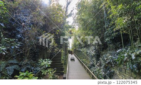 東京湾の元要塞の猿島の冬 122075345