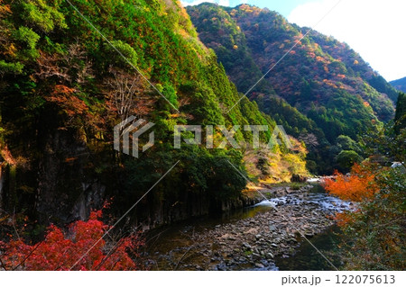 三重県名張市の香落渓の紅葉 三重県名張市の香落渓の紅葉 122075613