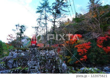 三重県名張市の香落渓の紅葉 122075621