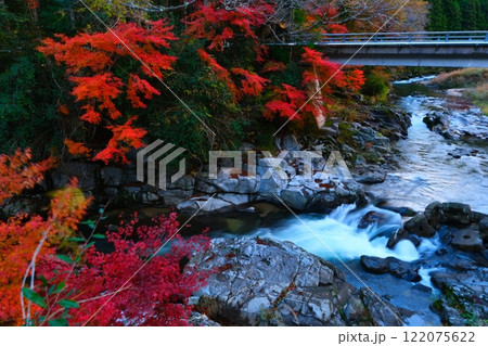 三重県名張市の香落渓の紅葉 三重県名張市の香落渓の紅葉 122075622
