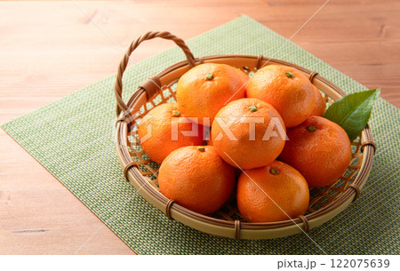 みかん ( 2025年1月 ) みかん ( 2025年1月 ) 122075639