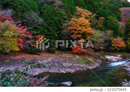 三重県名張市の香落渓の紅葉 122075645
