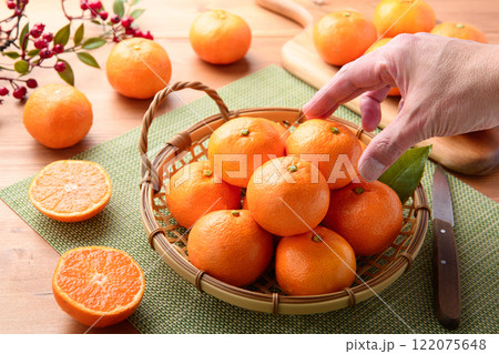 みかん ( 2025年1月 ) みかん ( 2025年1月 ) 122075648