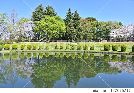 見沼田圃：大崎公園　子供つり池　さいたま市 122076237
